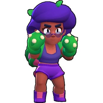 Image of the brawler skin 1