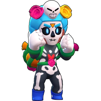Image of the brawler skin 2